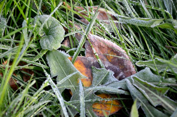 � ������ ������������ ����� ���������