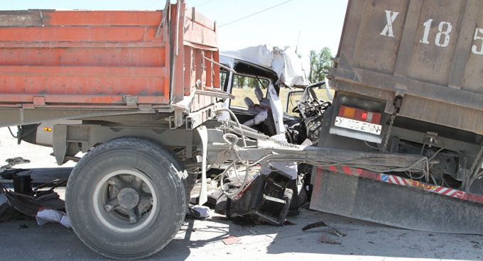 ������� ��� � ����������: �������� 14 �����