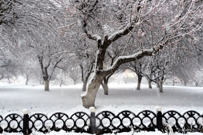 ������������ � ������ ��������� � �������� ���������� ����� �����������