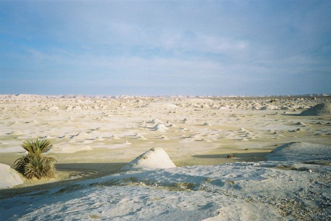 У пустелі Сахара випав сніг (ФОТО)