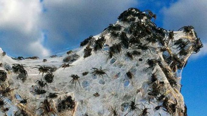 � ������ �'������ ��� � ��� � ������� ����'��� (����)