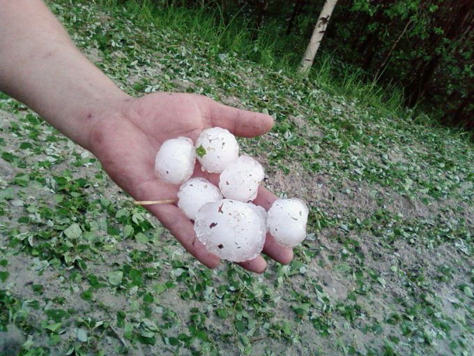 ���� ���������� ������ ����� �� �������