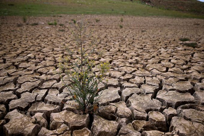 ̳����� ����� ������ ����� ���������� ������������� ����� ���� ������