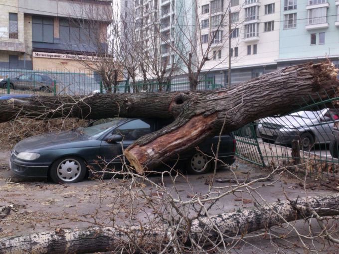 Сильна буря пронеслась по західній Україні (ВІДЕО)