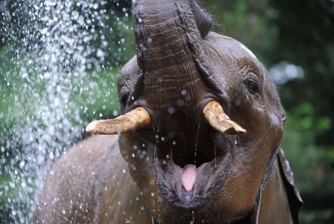 ������� ������� ���� ���������� � 1880 ����